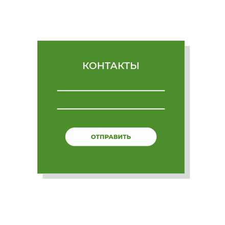 контакты